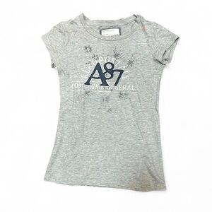 Aeropostale Heather Gray Fitted Tee